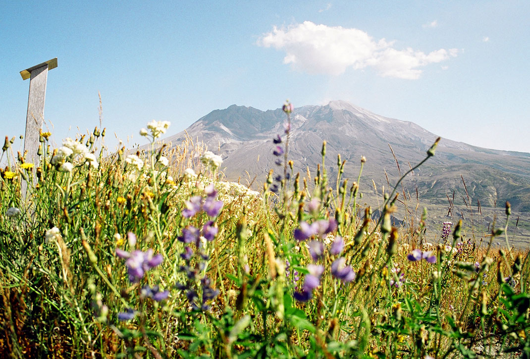 Mt. Saint Helens