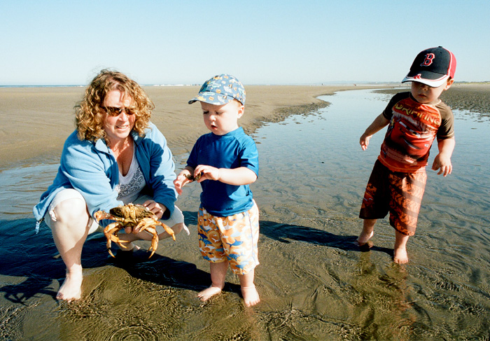 beach Crab